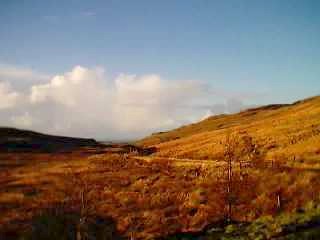 picture of a view from the caravan
